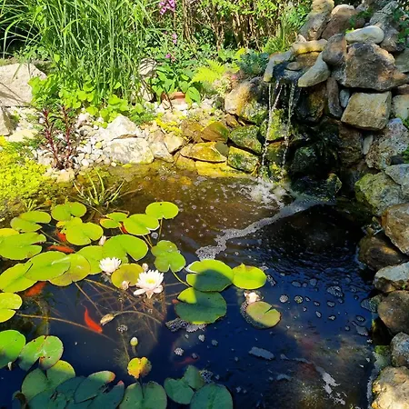 Haeuschen Viktoria Zamárdi